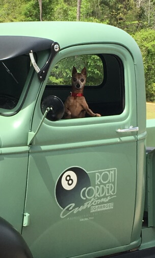 Ron Corder Customs A dog sits in the back seat of a green truck.